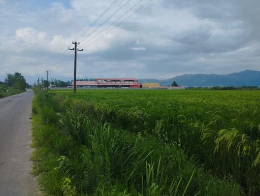 عکس کشتارگاه صنعتی دام دیلم صنعت شرق