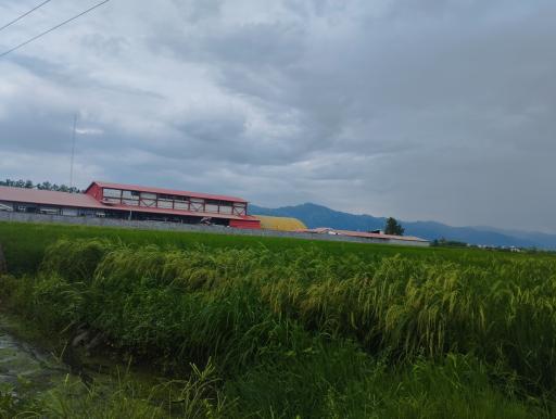 عکس کشتارگاه صنعتی دام دیلم صنعت شرق