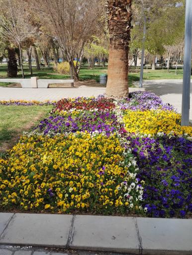 عکس خانه هنرمندان