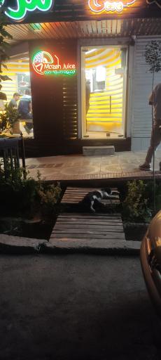 عکس آبمیوه طبیعی مزه