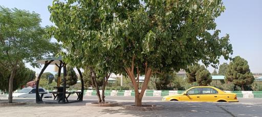 عکس پارک سفر