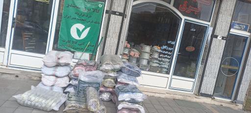 عکس کالا برق سمندر 