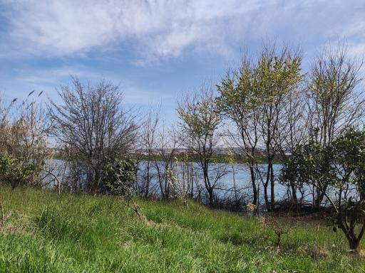 عکس دریاچه شهرک صنعتی رجه 