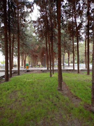 عکس بوستان پسته