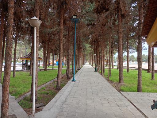 عکس بوستان پسته