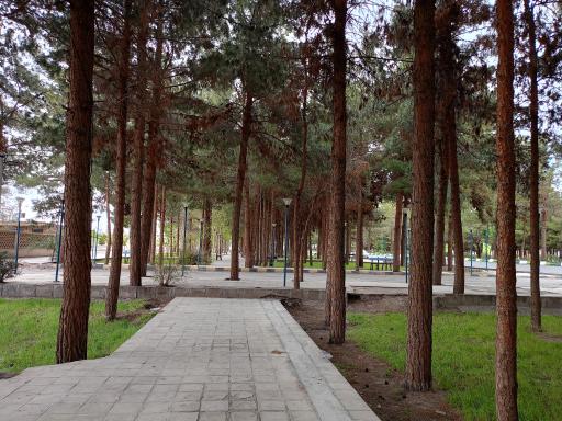 عکس بوستان پسته