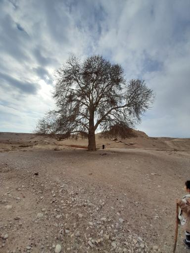 عکس کلاته خیج