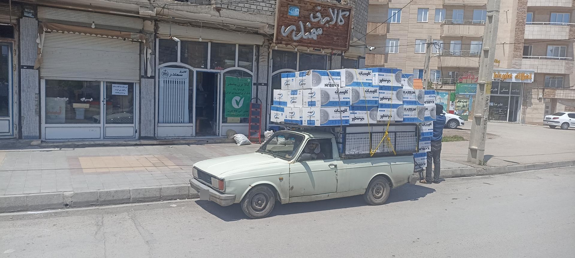 عکس کالا برق سمندر 