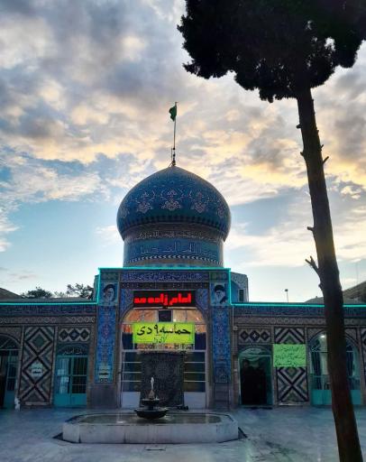 عکس امامزاده محمد (ع)