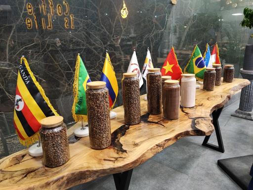 عکس محمد کافه 