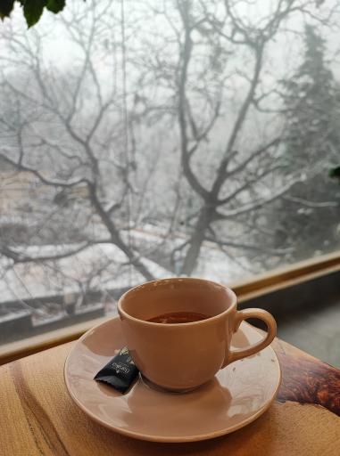 عکس محمد کافه 