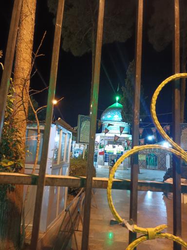 عکس امامزاده محمد (ع)