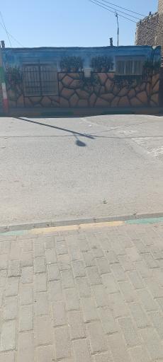 عکس مسجد الرضا