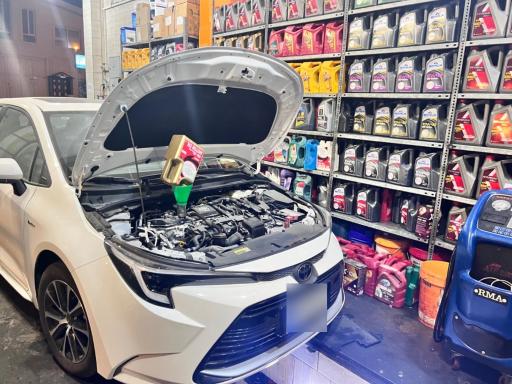 عکس خدمات خودرویی ملل کارواش