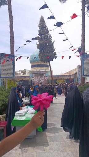 عکس امامزاده محمد (ع)