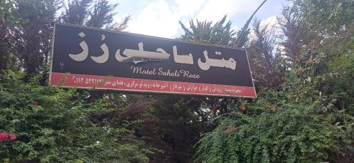عکس متل رز