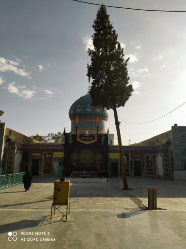 امامزاده محمد (ع)