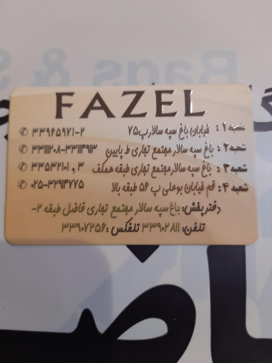 عکس کیف وکفش فاضل 