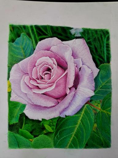 عکس آموزشگاه ارژنگ