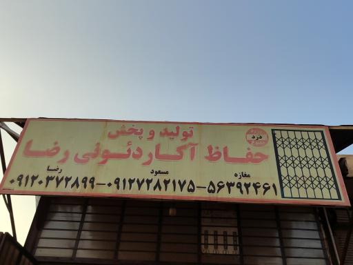 عکس حفاظ آکاردئونی رضا