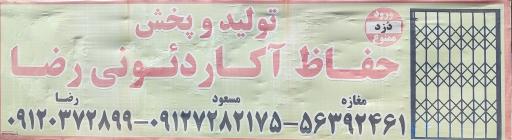 عکس حفاظ آکاردئونی رضا