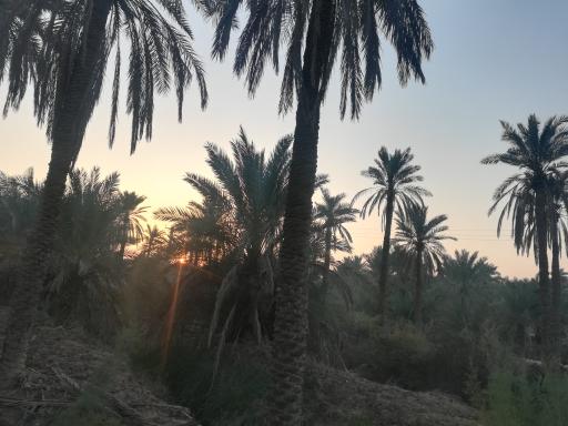 عکس طرفایه