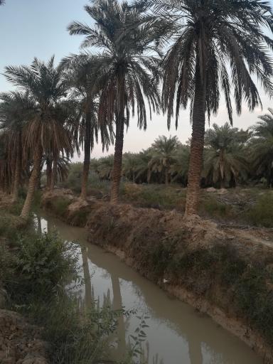 عکس طرفایه