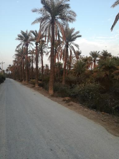 عکس طرفایه