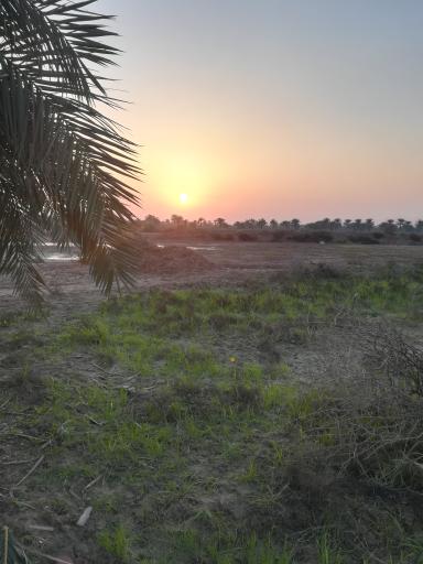عکس طرفایه