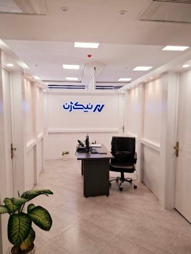 عکس نیک‌ژن صنعت نیکونام