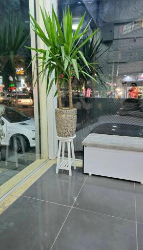 عکس موبایل شهر