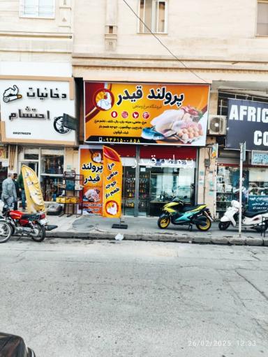 عکس پروتئینی پرولند قیدر