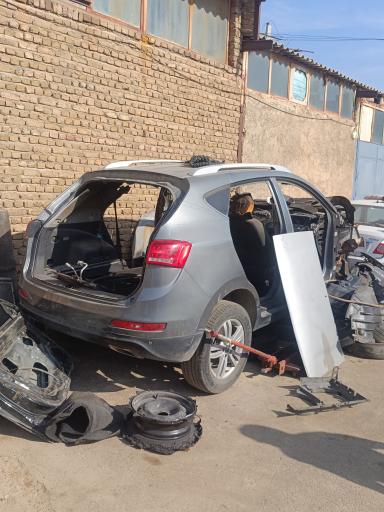 عکس استوک سلیمی