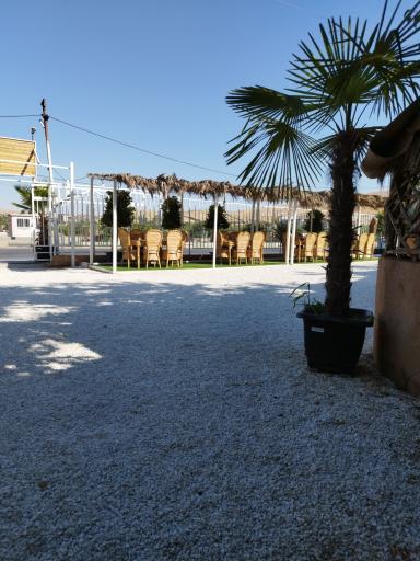 عکس رستوران نخل