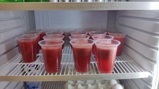 عکس کافه شانلی