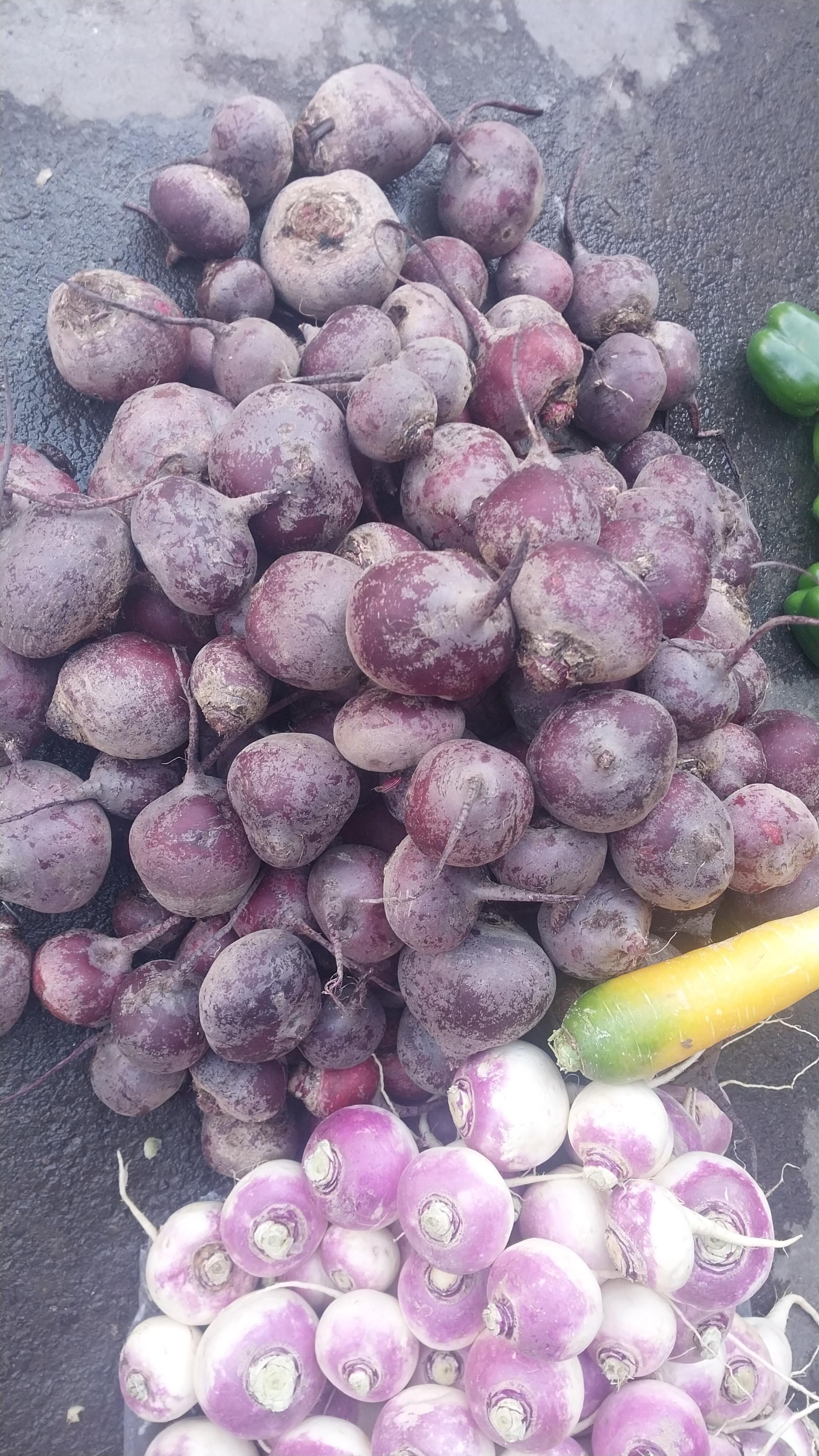 عکس بارفروشی سعید خدادادی