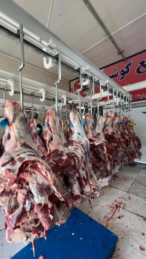 عکس تهیه و توزیع گوشت ایزدپناه و حداد