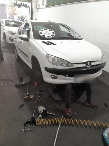 عکس چکاب جلوبندی جواد درجی