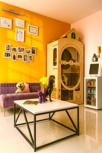 عکس آرایشگاه حیوانات پت بیوتی