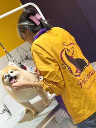 عکس آرایشگاه حیوانات پت بیوتی