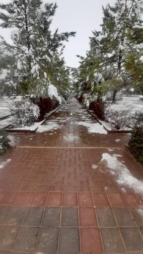 عکس آرامستان بهشت رضوان