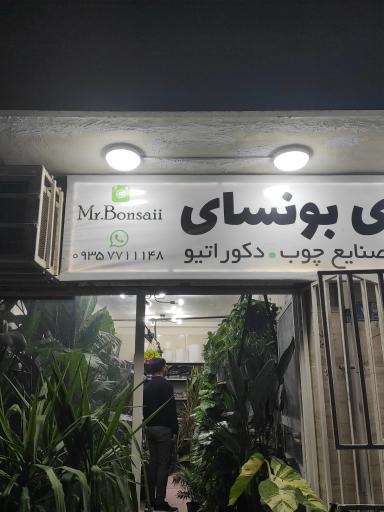 عکس گالری آقای بونسای