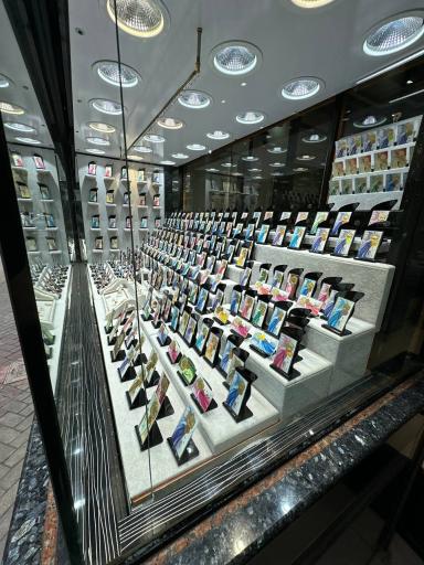 عکس گالری حامد گل حسنی