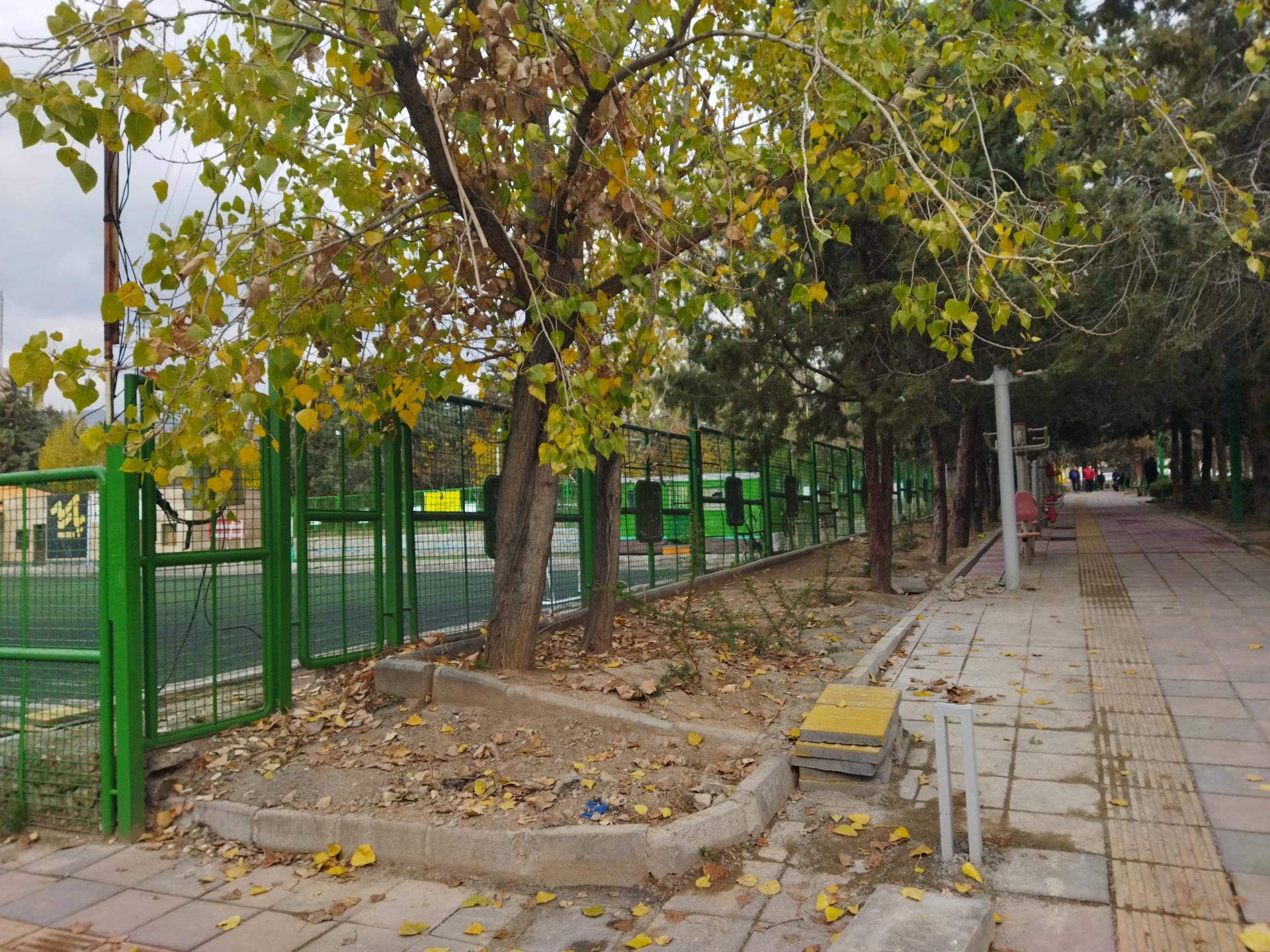 عکس زمین فوتبال پارک غزال