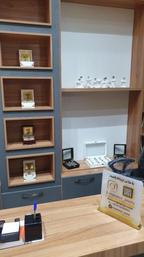 عکس نگین پایا