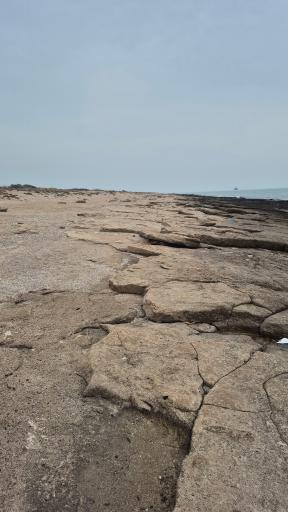 عکس بندر لنگه