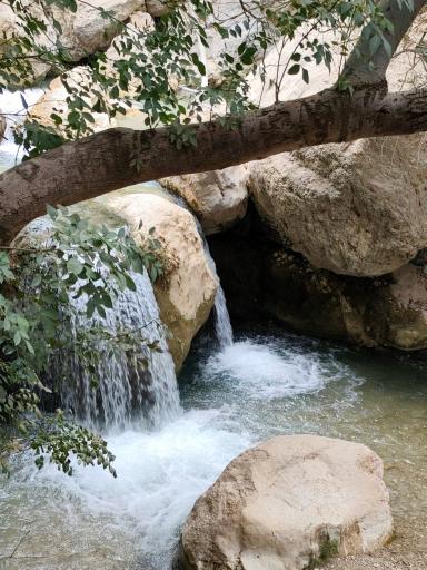 عکس آبشار مارگون