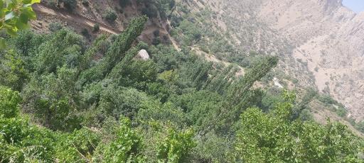 عکس آبشار مارگون