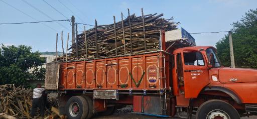 عکس مرکز خرید و فروش چوب ایستگاه چوب