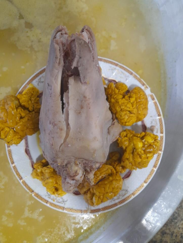 عکس طباخی بره سفید